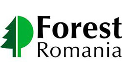 Forest Romania